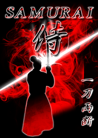SAMURAI cut in two