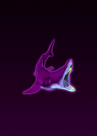 Hungry Megalodon