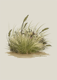 Grass Flowers *
