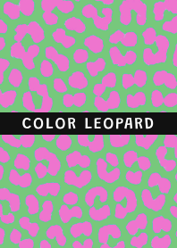 COLOR LEOPARD THEME @12