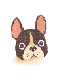 Charming Frenchie Stare