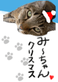 Mii-chan's Christmas@Pets Grand Prix