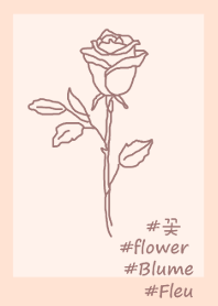 #flower rose(beige pink)