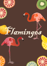 [R] Flamingo + Brown |os