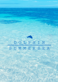 SUMMER SEA-HAWAII BLUE DOLPHIN 28