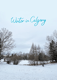 Winter in Calgary (3)