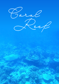 沖縄・珊瑚礁の海