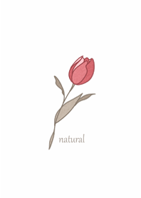 Simple tulip.1.
