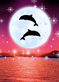 運気上昇♥幸運ブルームーン イルカ