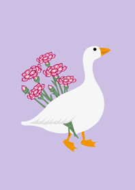 Dwarf goose! Mother's Day is here!