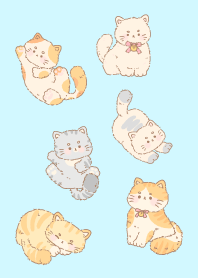 Cute Kitten 23