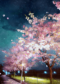 Beautiful night cherry blossoms#857