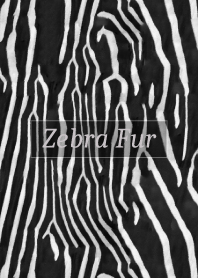 Zebra Fur 27