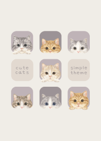 CATS - Munchkin - PURPLE GRAY