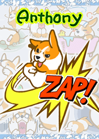 Corgi Anthony