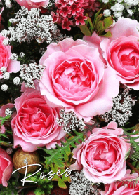 Banquet Roses