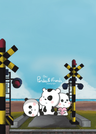 Oxi Pandas and Friends