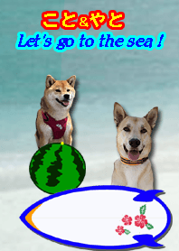 KOTO & YATO Let's go to the sea! #cool