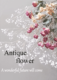 World of Antique dried flower.15.