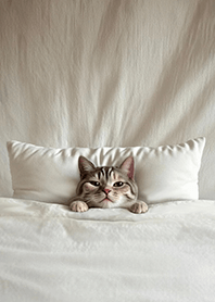 Fun playful cat  blanket2-civet cat