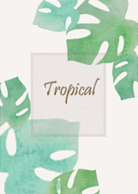 モンステラがある暮らし・2