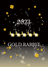 Black : 2023 Gold Rabbit