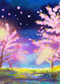 Beautiful night cherry blossoms#1322