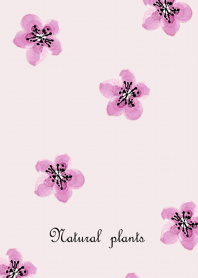 Cute watercolor pink flowers