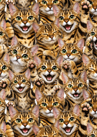 ธีมแมวเบงกอลน่ารัก