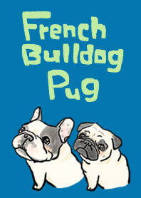 French bulldogs and pugs are cute
