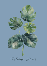 優雅觀葉植物(莫蘭迪藍色)