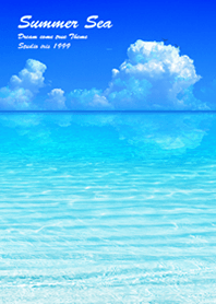 Summer Sea dolphins