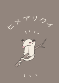 グレージュ×ヒメアリクイ