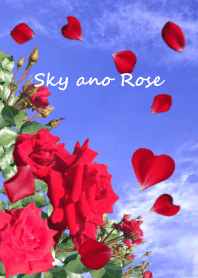 Sky dan mawar2