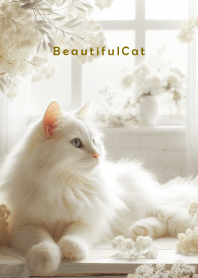 Beautiful Cat-CUTE WHITE 14