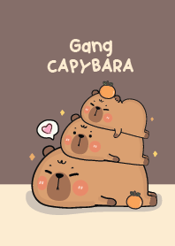 Capybara cute : brown!