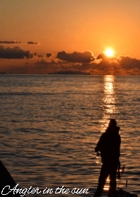 Angler in the sun