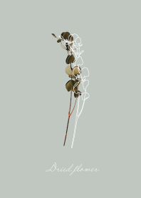 Dried flower_relax time_07