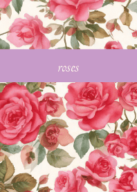 Gentle Rose Time on light purple