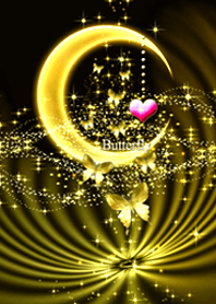 ♡幸運を呼び込む八蝶*169