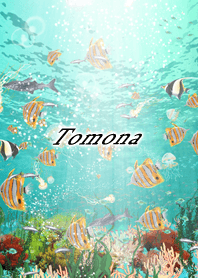 Tomona Coral & tropical fish2