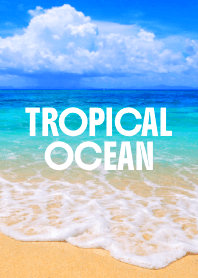 TROPICAL OCEAN THEME 53