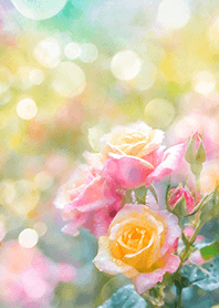 Beautiful rose flower(R1384)