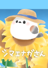 Sunflowers, the sea, and Shimaenaga-san