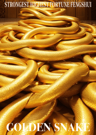 Golden snake  Lucky 52
