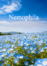"Nemophila vol.2" theme