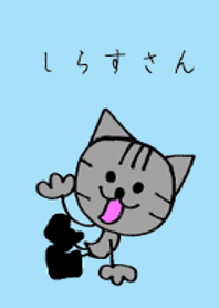 猫のしらすさん