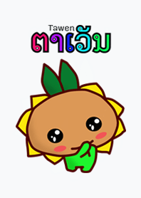 ຕາເວັນ(ตะเว็น) ทานตะวันพันธุ์ลาว 6