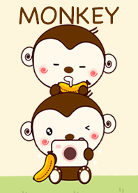 Monkey So Cute
