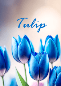 "Tulip vol.44" theme